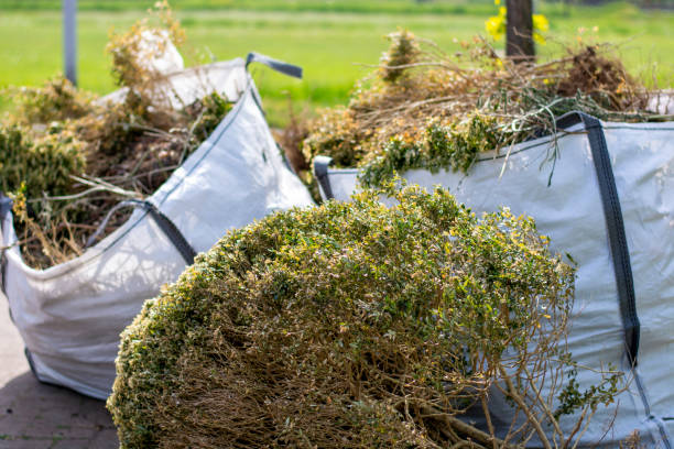 Best Furniture Removal Near Me  in Wills Point, TX